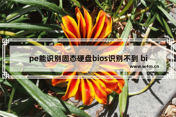 pe能识别固态硬盘bios识别不到 bios里找不到固态硬盘