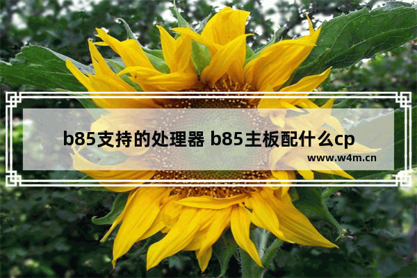 b85支持的处理器 b85主板配什么cpu最强