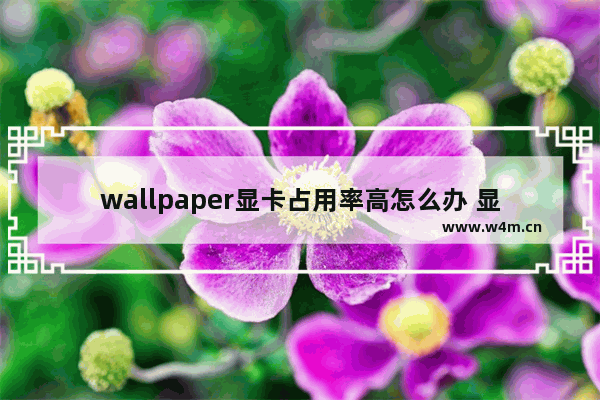 wallpaper显卡占用率高怎么办 显卡占用率过高怎么办