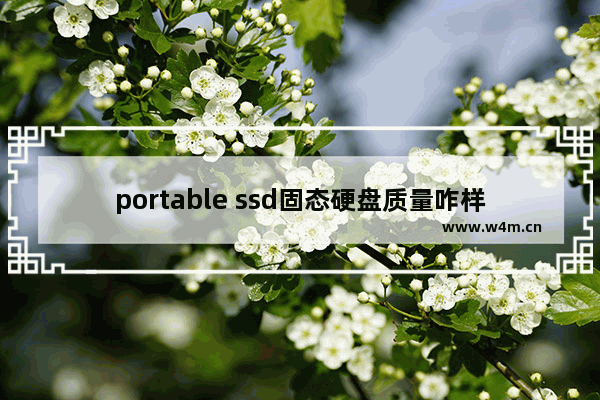 portable ssd固态硬盘质量咋样 固态硬盘为什么那么轻