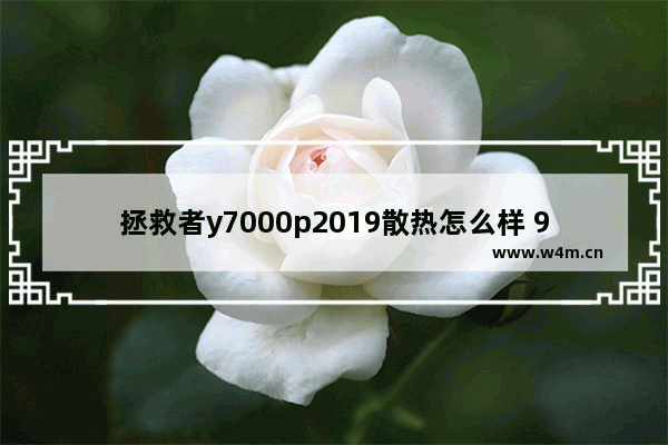 拯救者y7000p2019散热怎么样 95w显示器