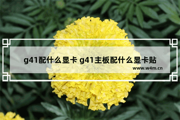 g41配什么显卡 g41主板配什么显卡贴吧