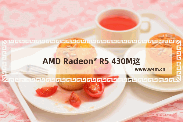 AMD Radeon* R5 430M这款显卡怎么样 r5430m相当于什么显卡