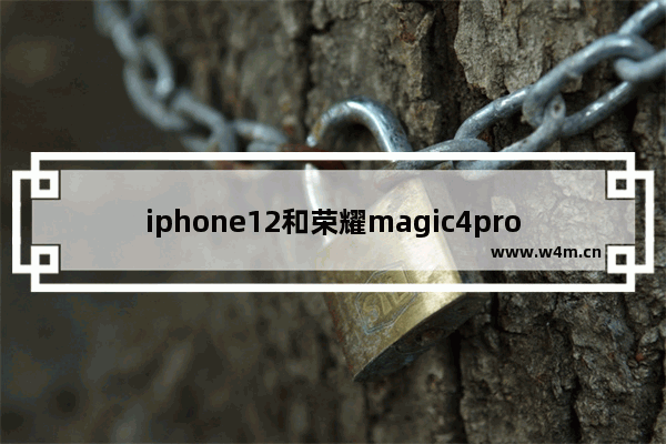 iphone12和荣耀magic4pro哪个好 笔记本电脑12代荣耀品牌