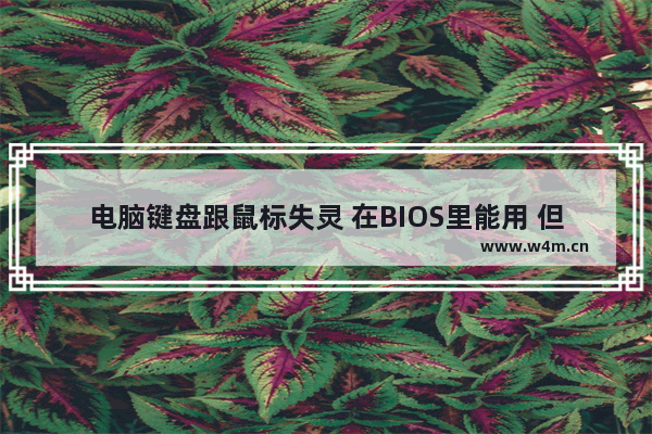 电脑键盘跟鼠标失灵 在BIOS里能用 但是进系统之后就不能用了 PE也不能 怎么办 主板和电脑连接没反应