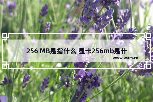 256 MB是指什么 显卡256mb是什么意思