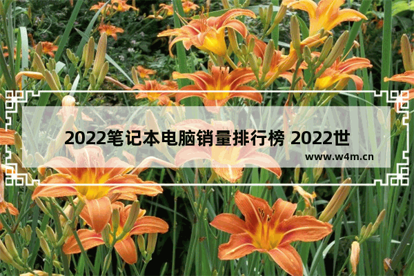 2022笔记本电脑销量排行榜 2022世界十大品牌电脑