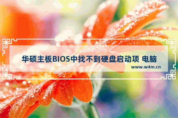 华硕主板BIOS中找不到硬盘启动项 电脑主板如何关闭硬盘启动