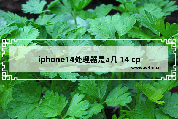 iphone14处理器是a几 14 cpu