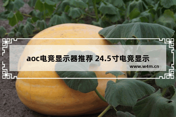 aoc电竞显示器推荐 24.5寸电竞显示器推荐