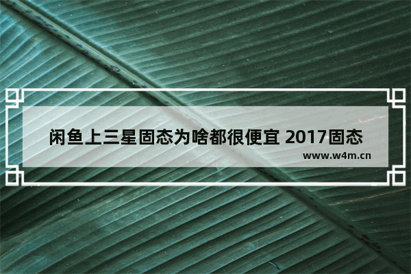 闲鱼上三星固态为啥都很便宜 2017固态硬盘价格下降