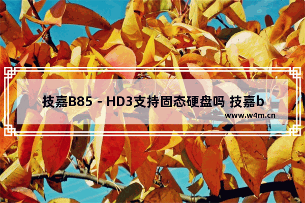 技嘉B85－HD3支持固态硬盘吗 技嘉b85 固态硬盘