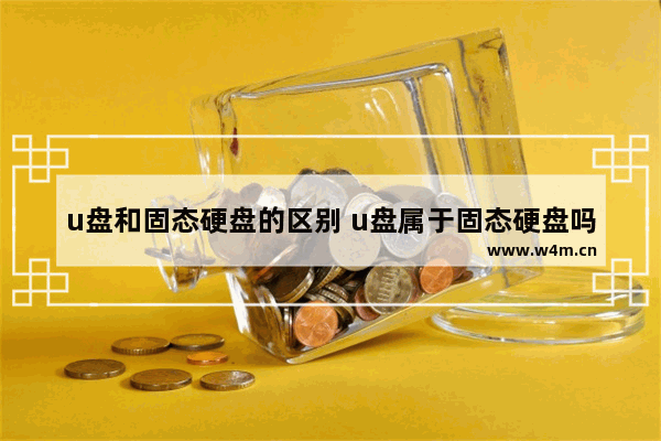 u盘和固态硬盘的区别 u盘属于固态硬盘吗