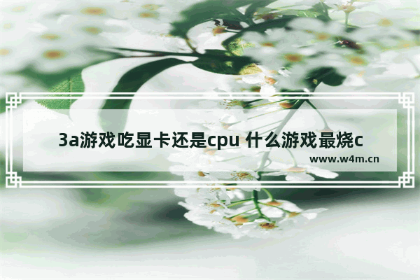 3a游戏吃显卡还是cpu 什么游戏最烧cpu不耗显卡