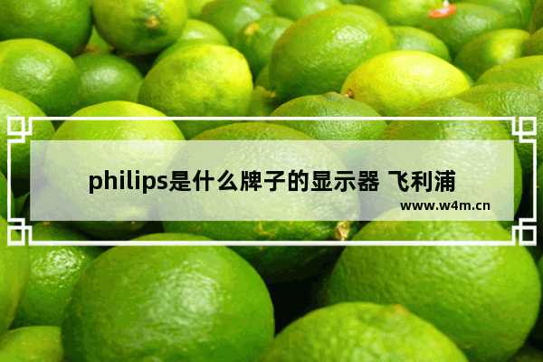 philips是什么牌子的显示器 飞利浦显示器什么屏幕