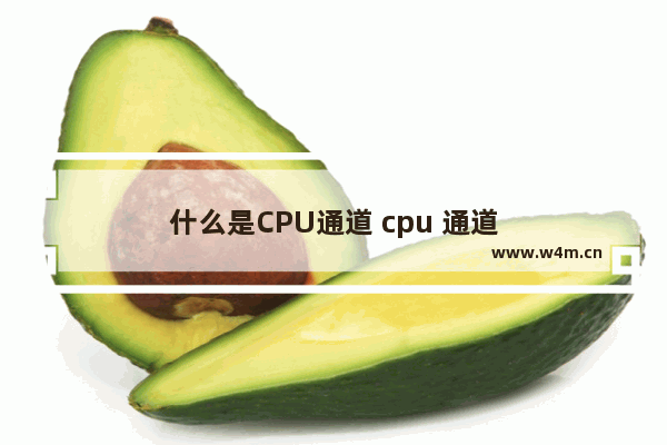 什么是CPU通道 cpu 通道