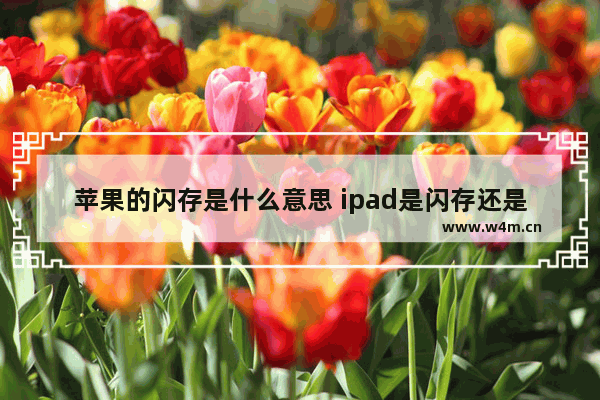 苹果的闪存是什么意思 ipad是闪存还是固态硬盘