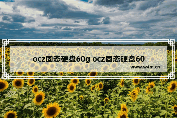 ocz固态硬盘60g ocz固态硬盘60g