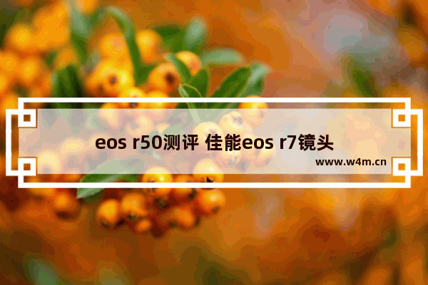 eos r50测评 佳能eos r7镜头推荐