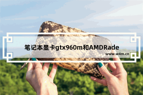 笔记本显卡gtx960m和AMDRadeon(TM)R8M445DX哪个更高 r8m445显卡怎么样