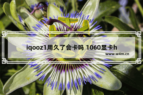 iqooz1用久了会卡吗 1060显卡h1z1卡顿