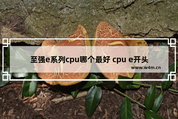 至强e系列cpu哪个最好 cpu e开头是什么意思