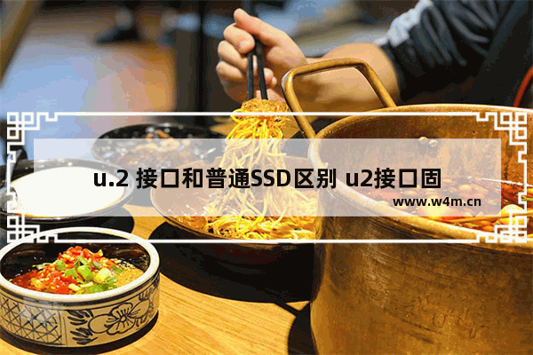 u.2 接口和普通SSD区别 u2接口固态硬盘怎么转sata