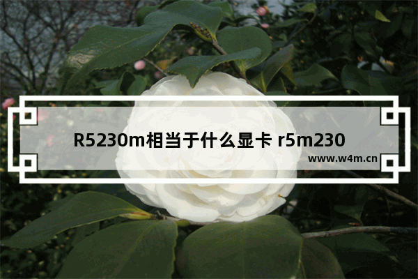 R5230m相当于什么显卡 r5m230独立显卡怎么样