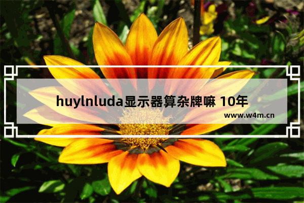 huylnluda显示器算杂牌嘛 10年前电脑显示屏品牌