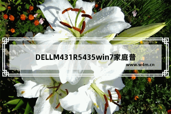 DELLM431R5435win7家庭普通版合适玩网游 r5m435显卡相当于n卡