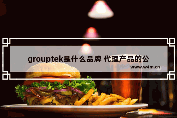 grouptek是什么品牌 代理产品的公司可以上市吗