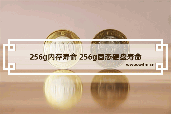 256g内存寿命 256g固态硬盘寿命