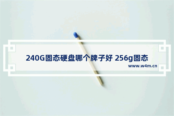 240G固态硬盘哪个牌子好 256g固态硬盘哪个性价比高