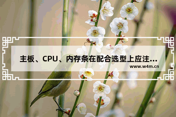 主板、CPU、内存条在配合选型上应注意什么 主板 cpu 内存