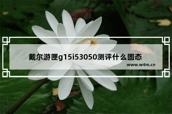 戴尔游匣g15i53050测评什么固态 企业级固态硬盘评测