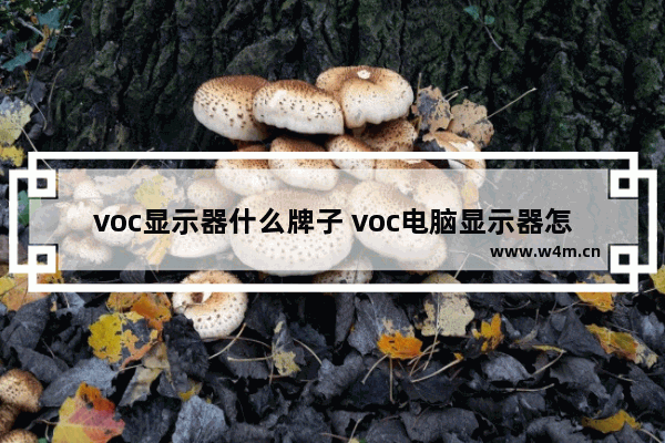 voc显示器什么牌子 voc电脑显示器怎么样