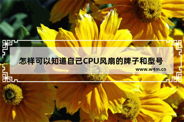 怎样可以知道自己CPU风扇的牌子和型号 苹果电脑的风扇品牌怎么看