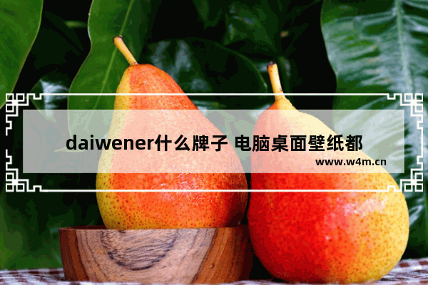 daiwener什么牌子 电脑桌面壁纸都有哪些品牌