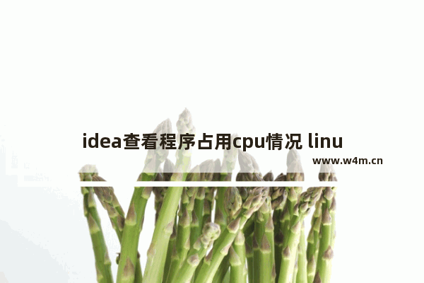 idea查看程序占用cpu情况 linux cpu占用