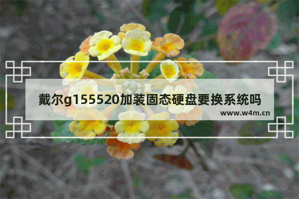 戴尔g155520加装固态硬盘要换系统吗 w520加装固态硬盘