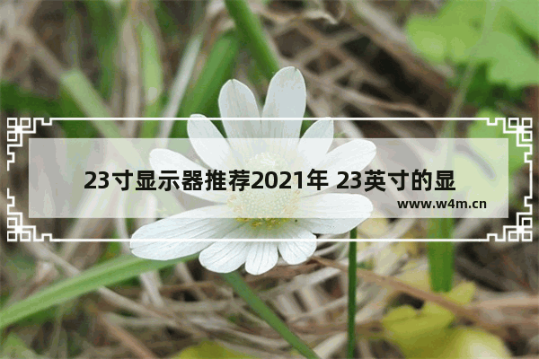 23寸显示器推荐2021年 23英寸的显示器