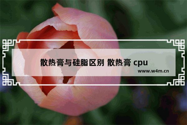 散热膏与硅脂区别 散热膏 cpu