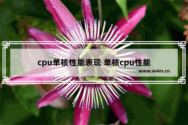 cpu单核性能表现 单核cpu性能