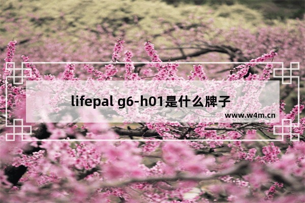 lifepal g6-h01是什么牌子 英格兰笔记本电脑是啥品牌