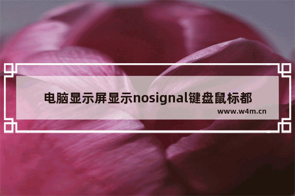 电脑显示屏显示nosignal键盘鼠标都不亮 电脑主板键盘指示灯不亮