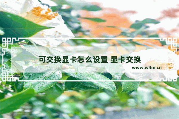 可交换显卡怎么设置 显卡交换