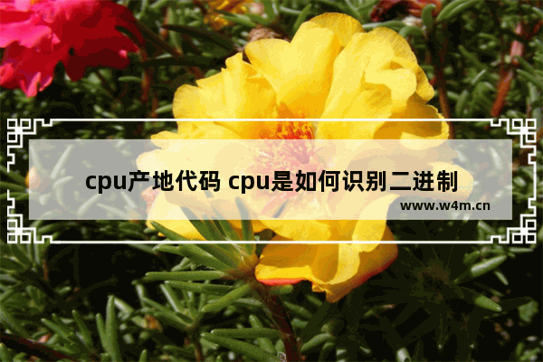 cpu产地代码 cpu是如何识别二进制