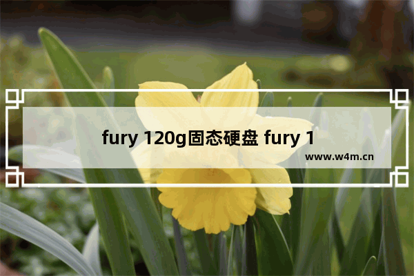 fury 120g固态硬盘 fury 120g固态硬盘