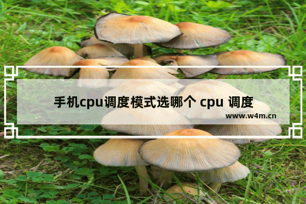 手机cpu调度模式选哪个 cpu 调度