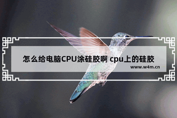 怎么给电脑CPU涂硅胶啊 cpu上的硅胶该怎样涂抹 硅胶起的是什么作用